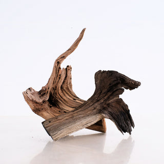 Manzanita Driftwood Set 8-9"