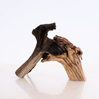 Manzanita Driftwood Set 8-9"