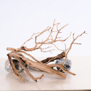 Manzanita Driftwood Set