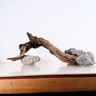 Manzanita Driftwood 23"
