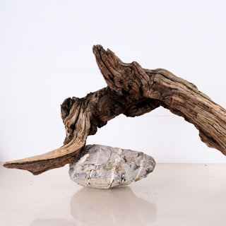 Manzanita Driftwood 23"