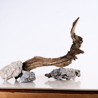 Manzanita Driftwood