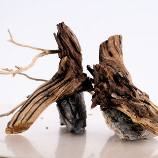 Manzanita Driftwood