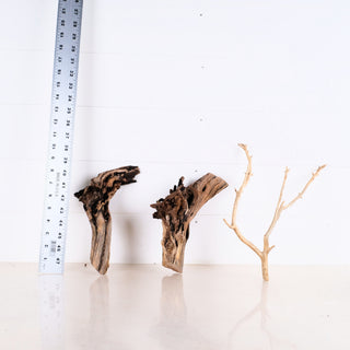 Manzanita Driftwood Set