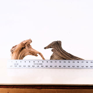 Manzanita Driftwood Set 8-9"