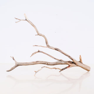 Manzanita Driftwood 17"