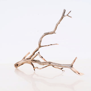 Manzanita Driftwood 17"