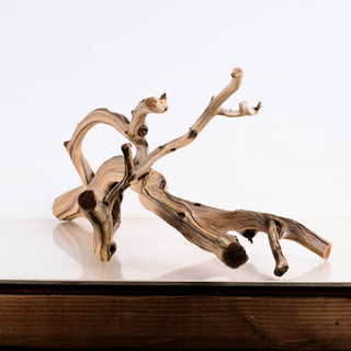 Manzanita Driftwood