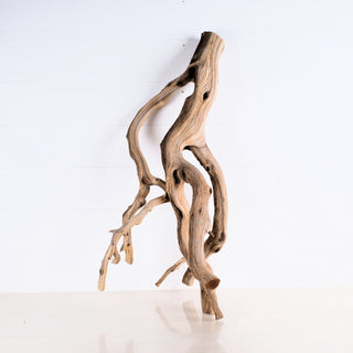 Manzanita Driftwood