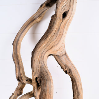 Manzanita Driftwood