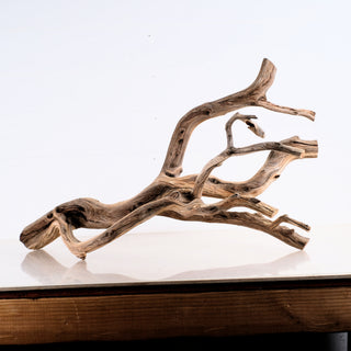 Manzanita Driftwood