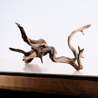 Manzanita Driftwood 31"