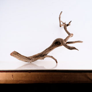 Manzanita Driftwood 31"