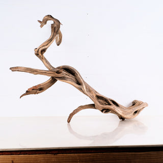 Manzanita Driftwood 31"