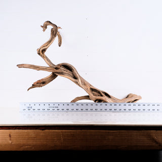 Manzanita Driftwood 31"