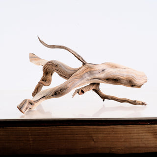Manzanita Driftwood 17"