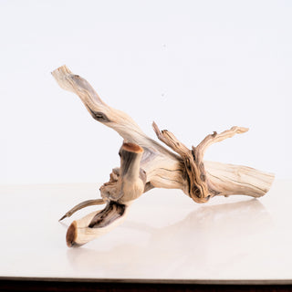 Manzanita Driftwood 17"