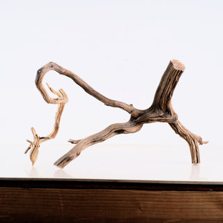 Manzanita Driftwood 19"