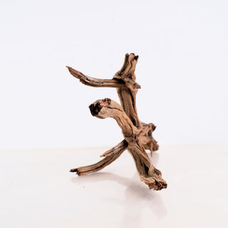 Manzanita Driftwood 16"