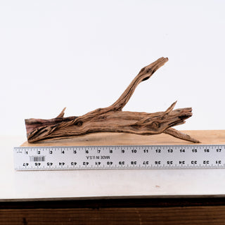 Manzanita Driftwood 16"