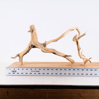 Manzanita Driftwood 19"