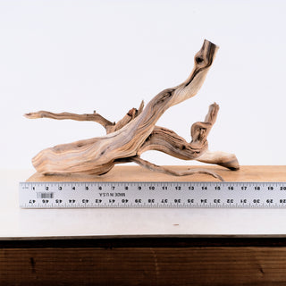 Manzanita Driftwood 17"