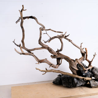 Manzanita Driftwood 31" (Set of 4)