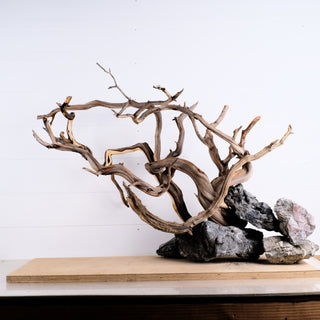 Manzanita Driftwood 31" (Set of 4)