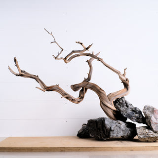 Manzanita Driftwood 31" (Set of 4)