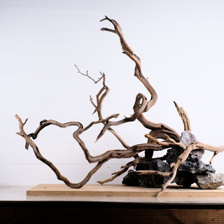 Manzanita Driftwood 31" (Set of 4)