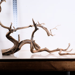 Manzanita Driftwood 31" (Set of 4)