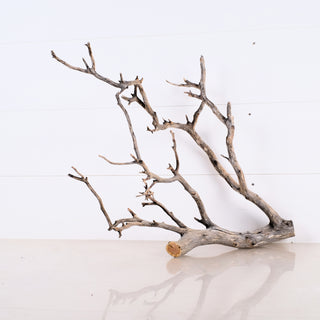 Manzanita Driftwood 18"
