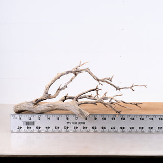 Manzanita Driftwood 18"