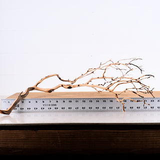 Manzanita Driftwood 24"