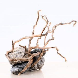 Manzanita Driftwood (Set of 3)