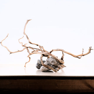 Manzanita Driftwood (Set of 3)