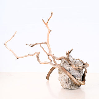 Manzanita Driftwood (Set of 3)