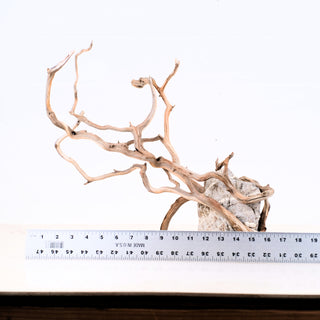 Manzanita Driftwood (Set of 3)