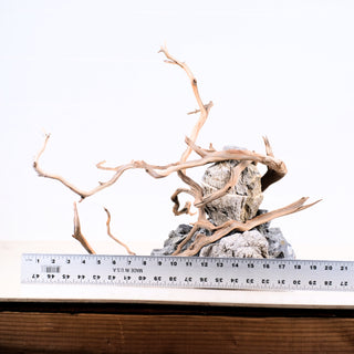 Manzanita Driftwood (Set of 3)