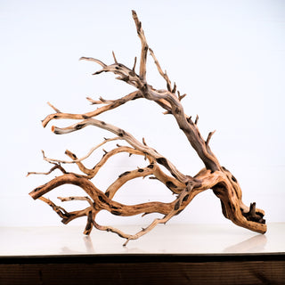 Manzanita Driftwood 33"