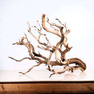 Manzanita Driftwood 33"