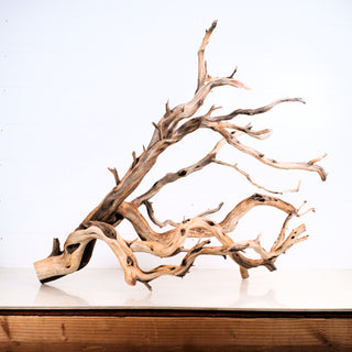 Manzanita Driftwood 33"