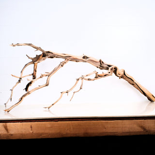 Manzanita Driftwood 43"