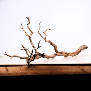 Manzanita Driftwood 43"