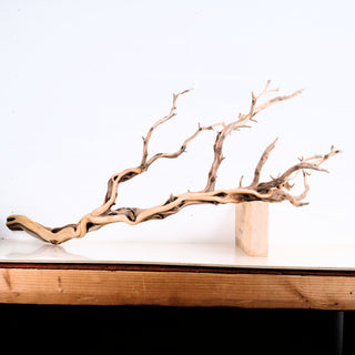 Manzanita Driftwood 43"