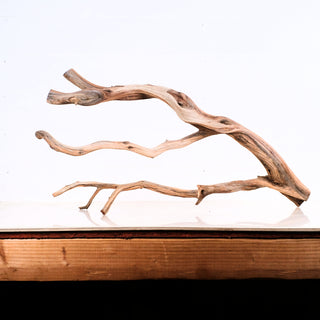Manzanita Driftwood 29"