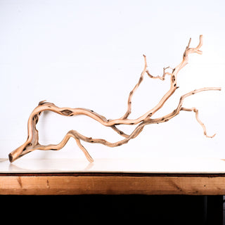 Manzanita Driftwood 47"