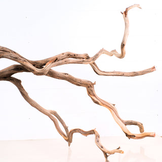 Manzanita Driftwood 47"