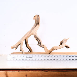 Manzanita Driftwood 20"