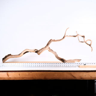 Manzanita Driftwood 46"